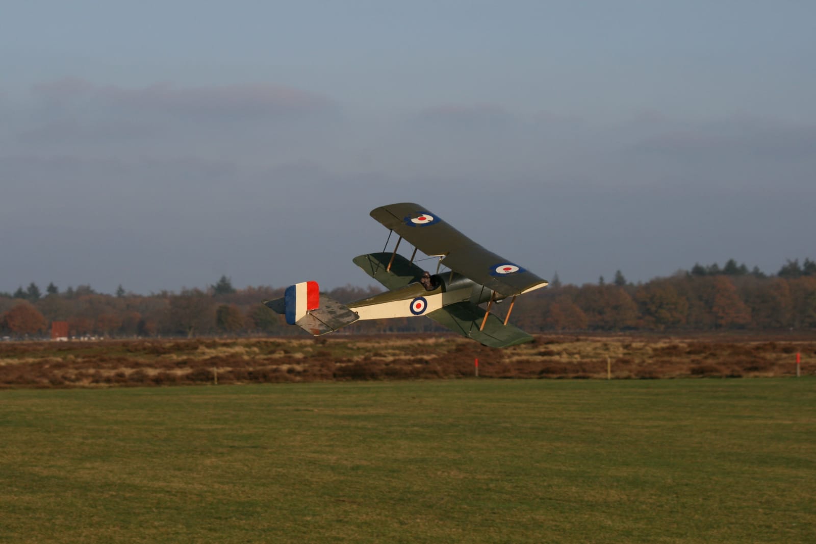 IMG-20201129-WA0013.jpg