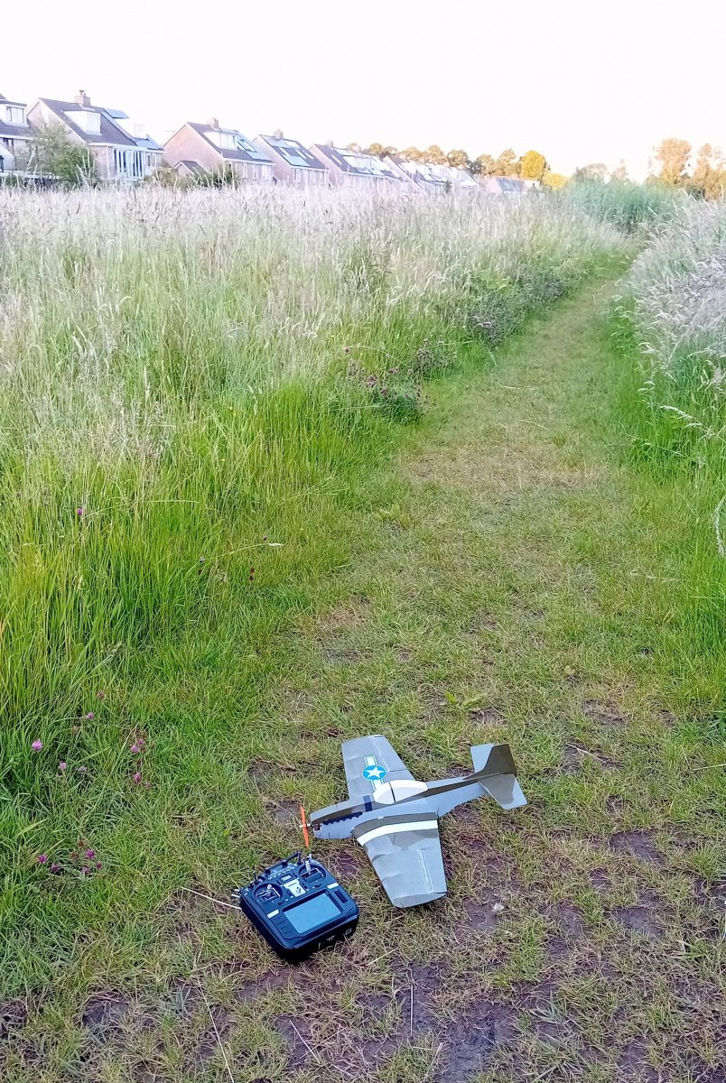 IMG-20240617-WA0037.jpeg