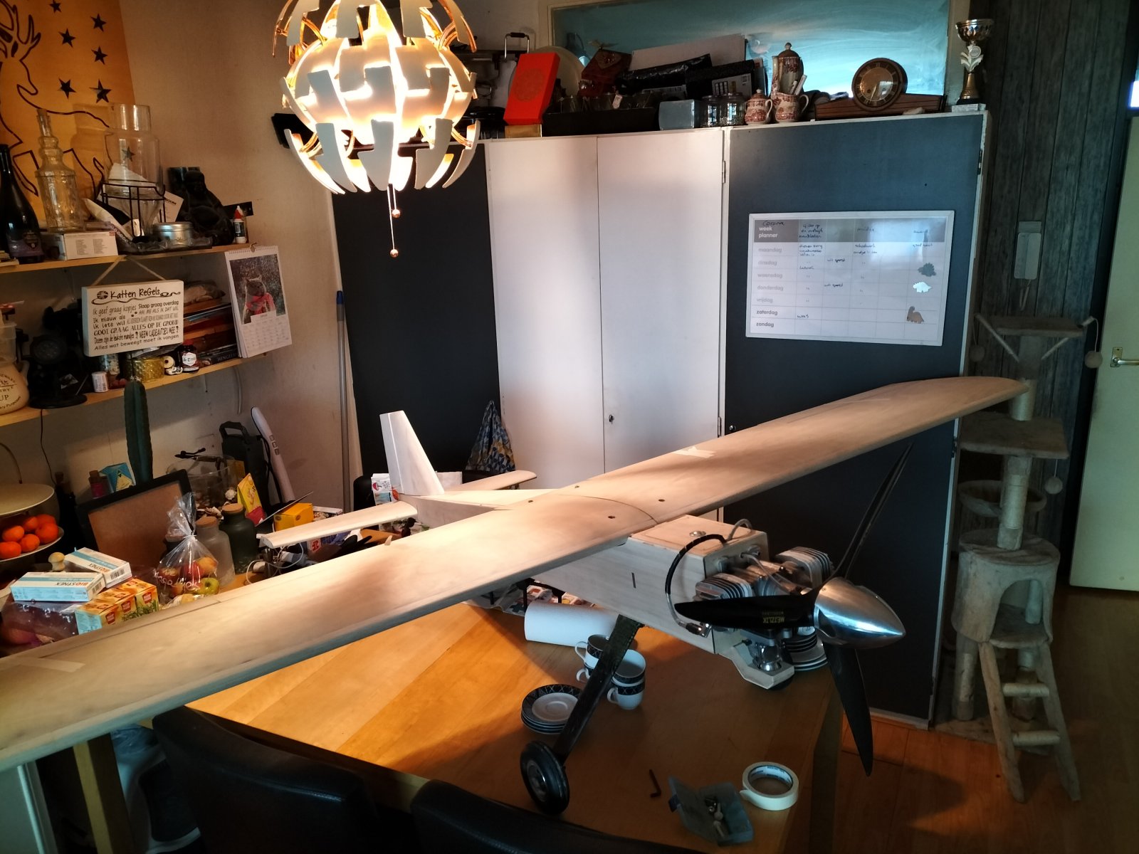 IMG20220116154708.jpg