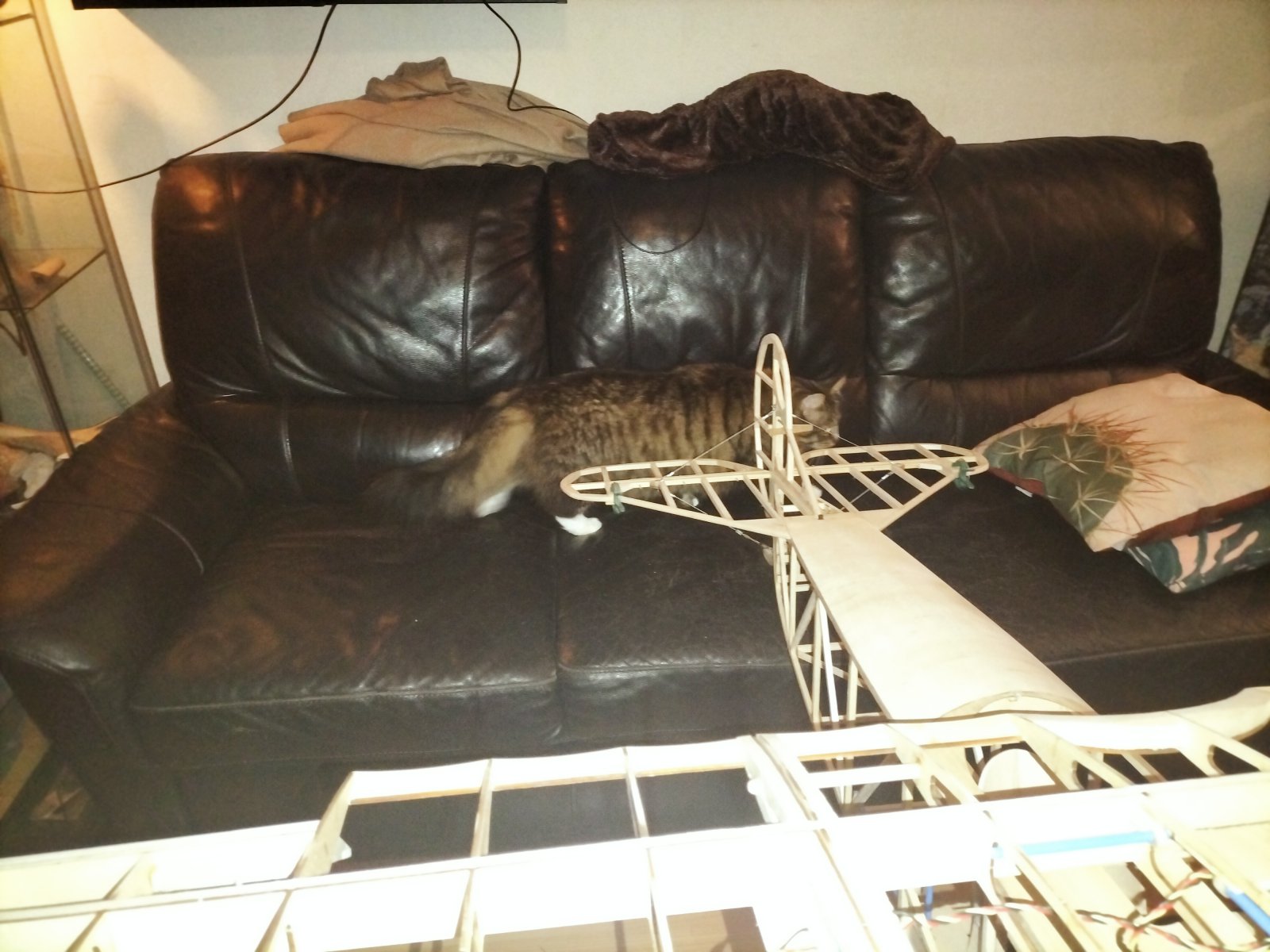 IMG20221025210445.jpg