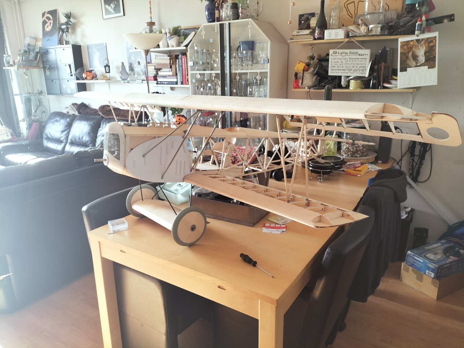 IMG20221101114536.jpg