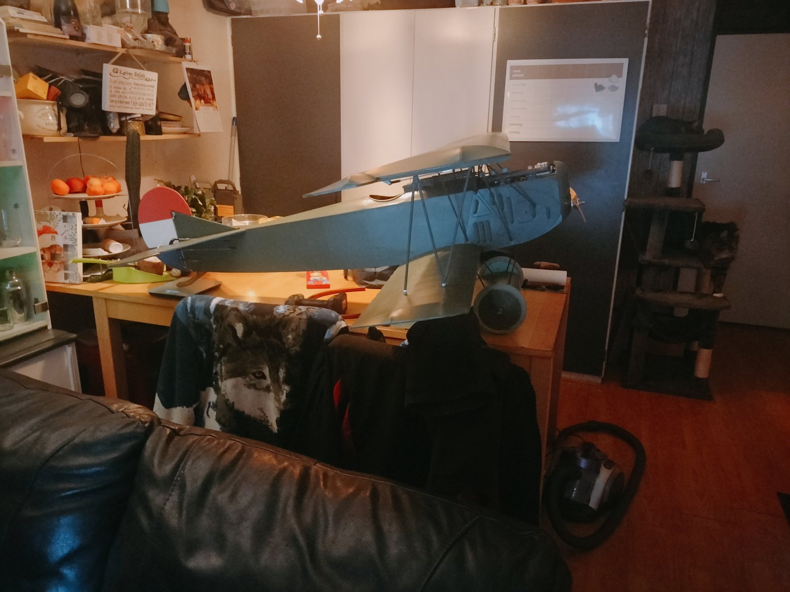 IMG20221215195352.jpg