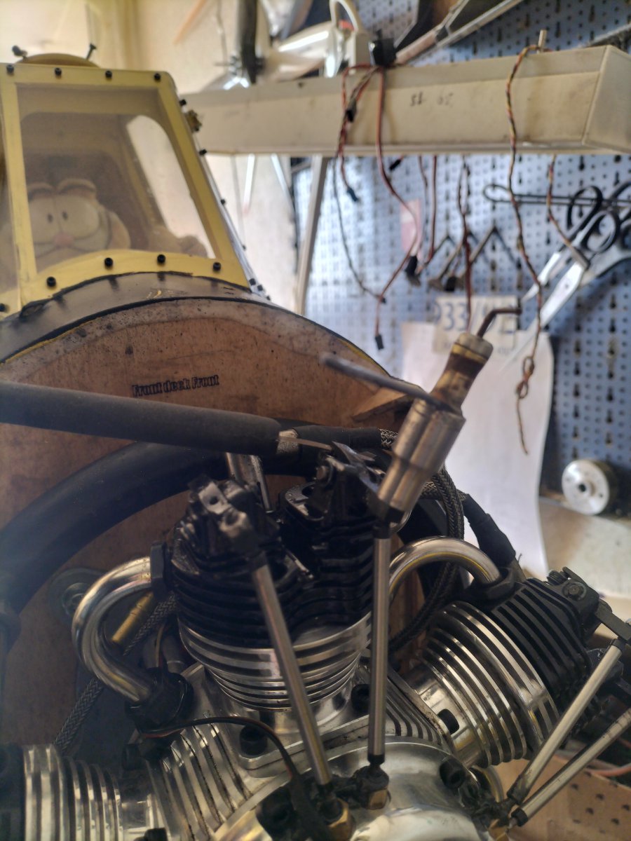 IMG20250216105615.jpg