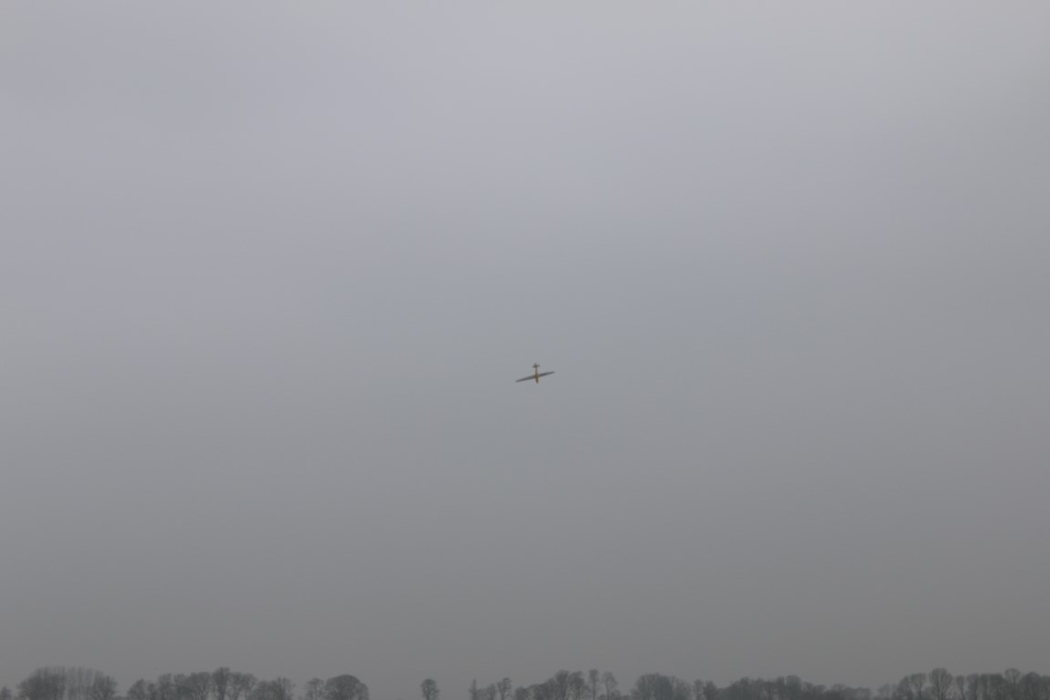 IMG_0596.JPG