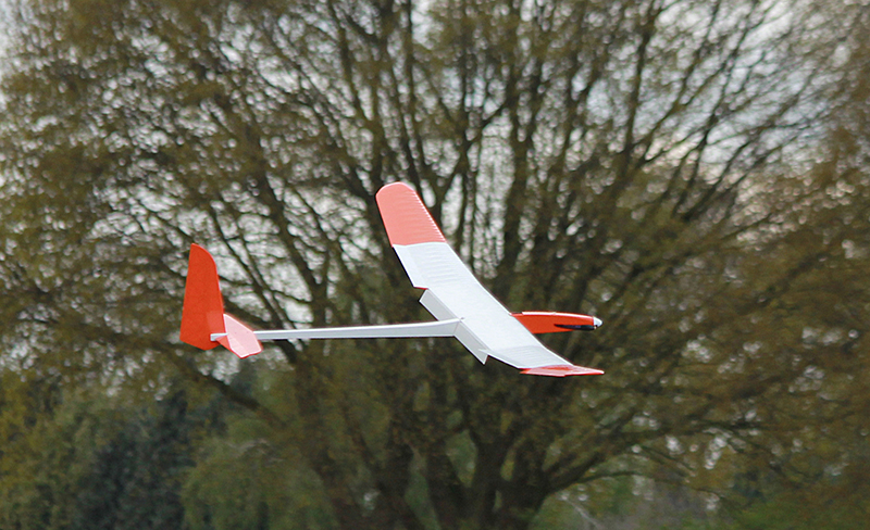 IMG_1217Akl.jpg