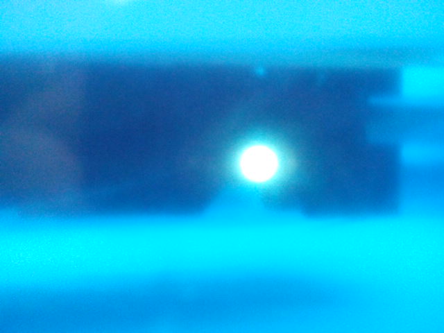 IMG_20160813_161155.jpg
