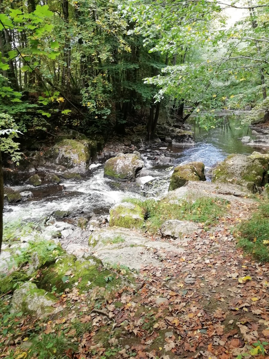 IMG_20180925_145740.jpg