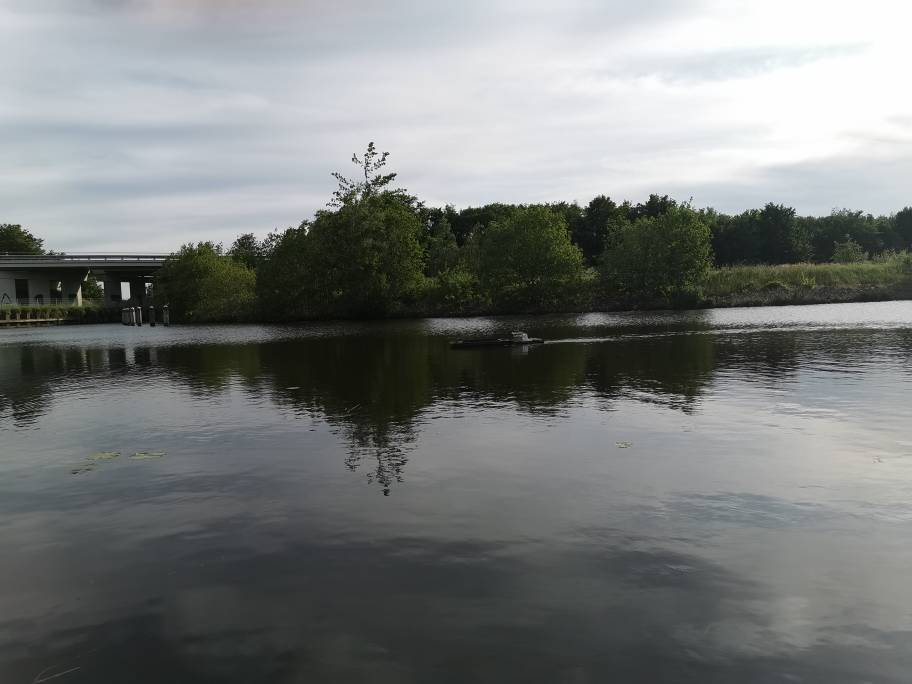 IMG_20200601_190452.jpeg
