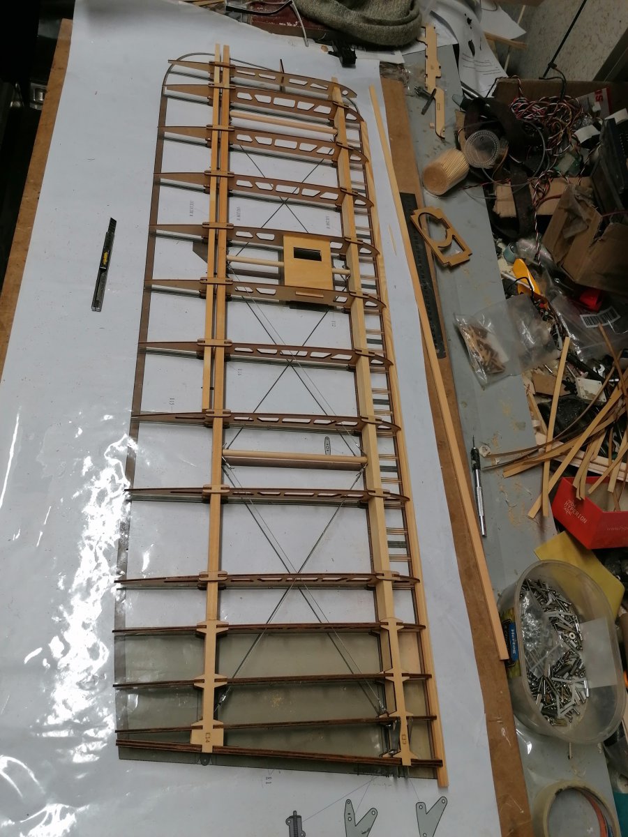 IMG_20201227_164327.jpg
