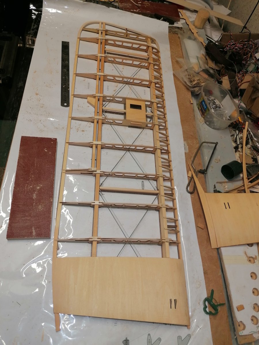 IMG_20201228_170230.jpg