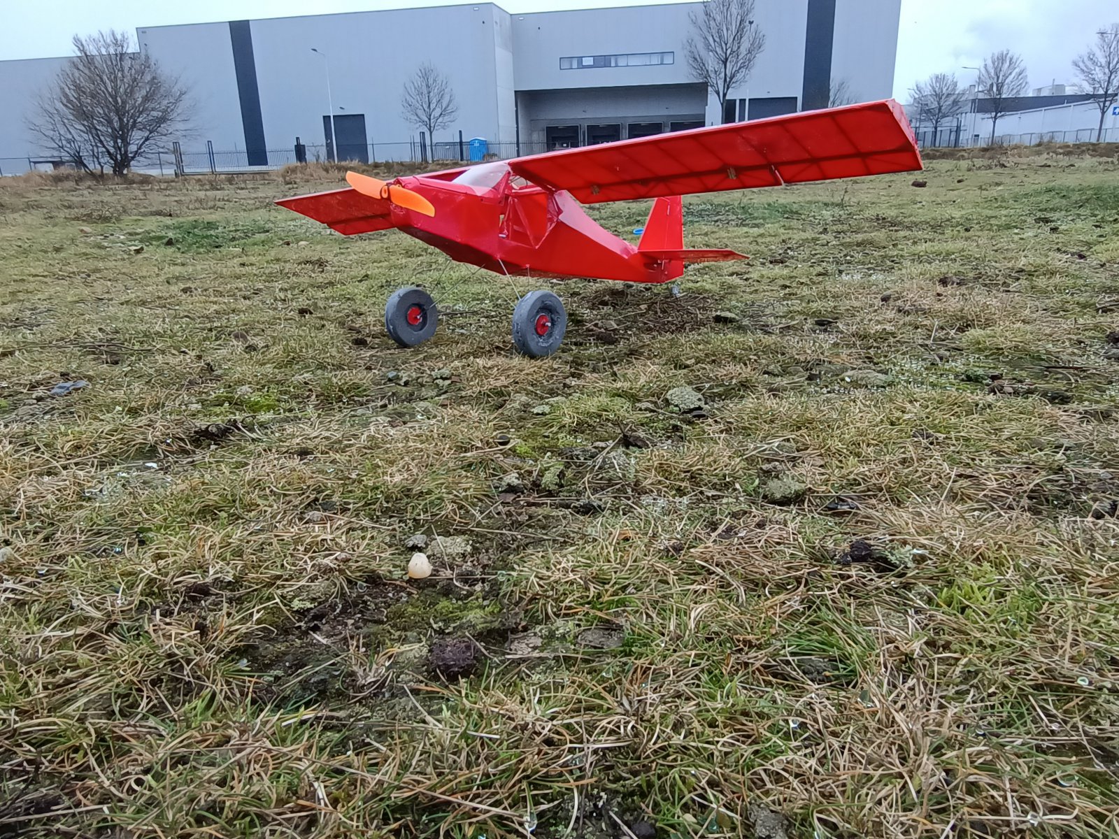 IMG_20211219_101843104.jpg