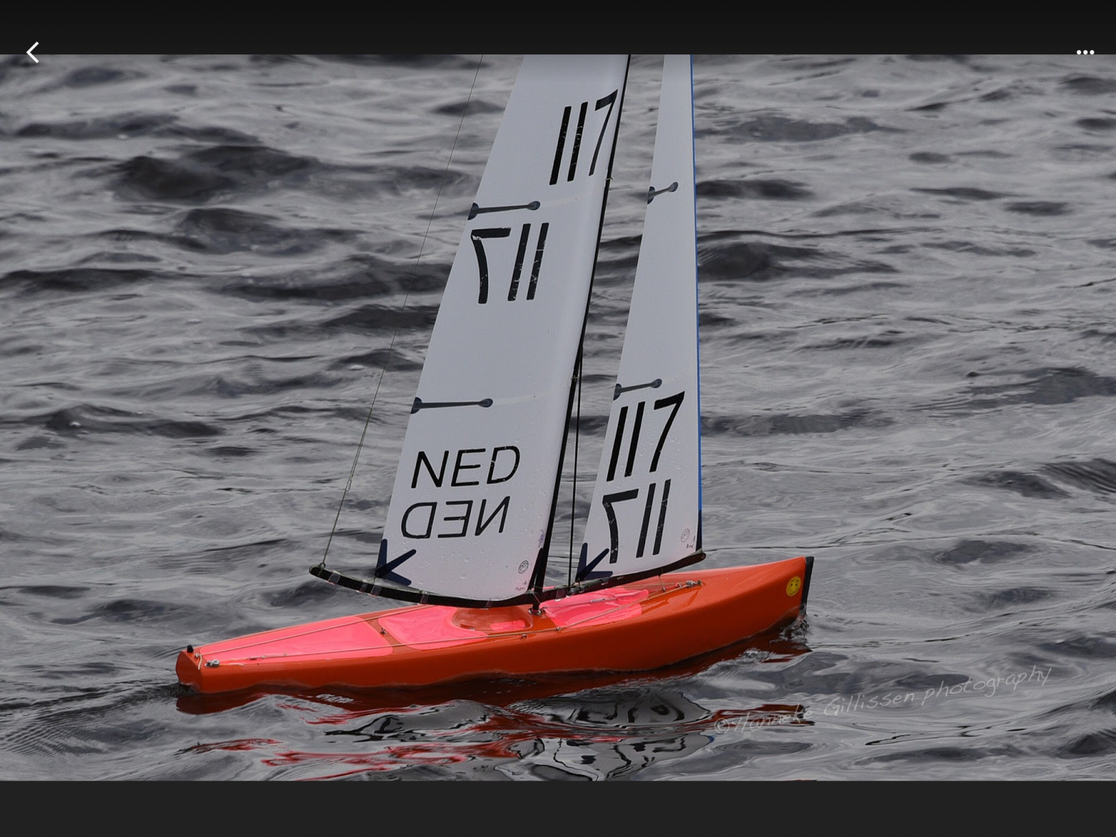 IMG_2457.PNG