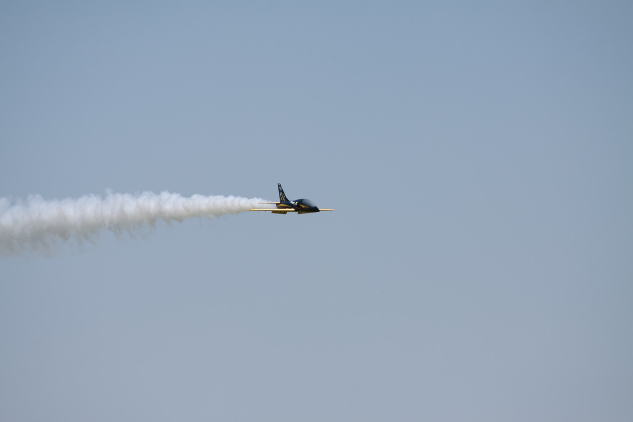 IMG_7403-X2.jpg