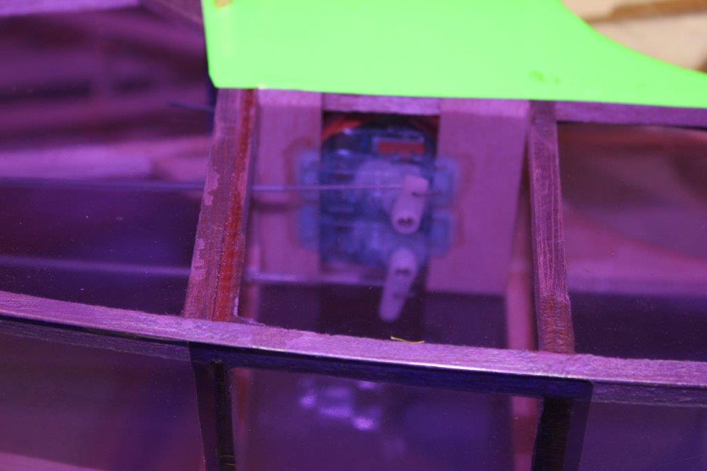IMG_7942.jpg