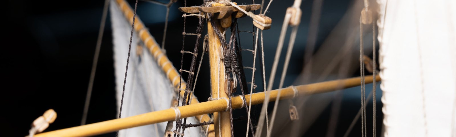 IMGC2193.jpg