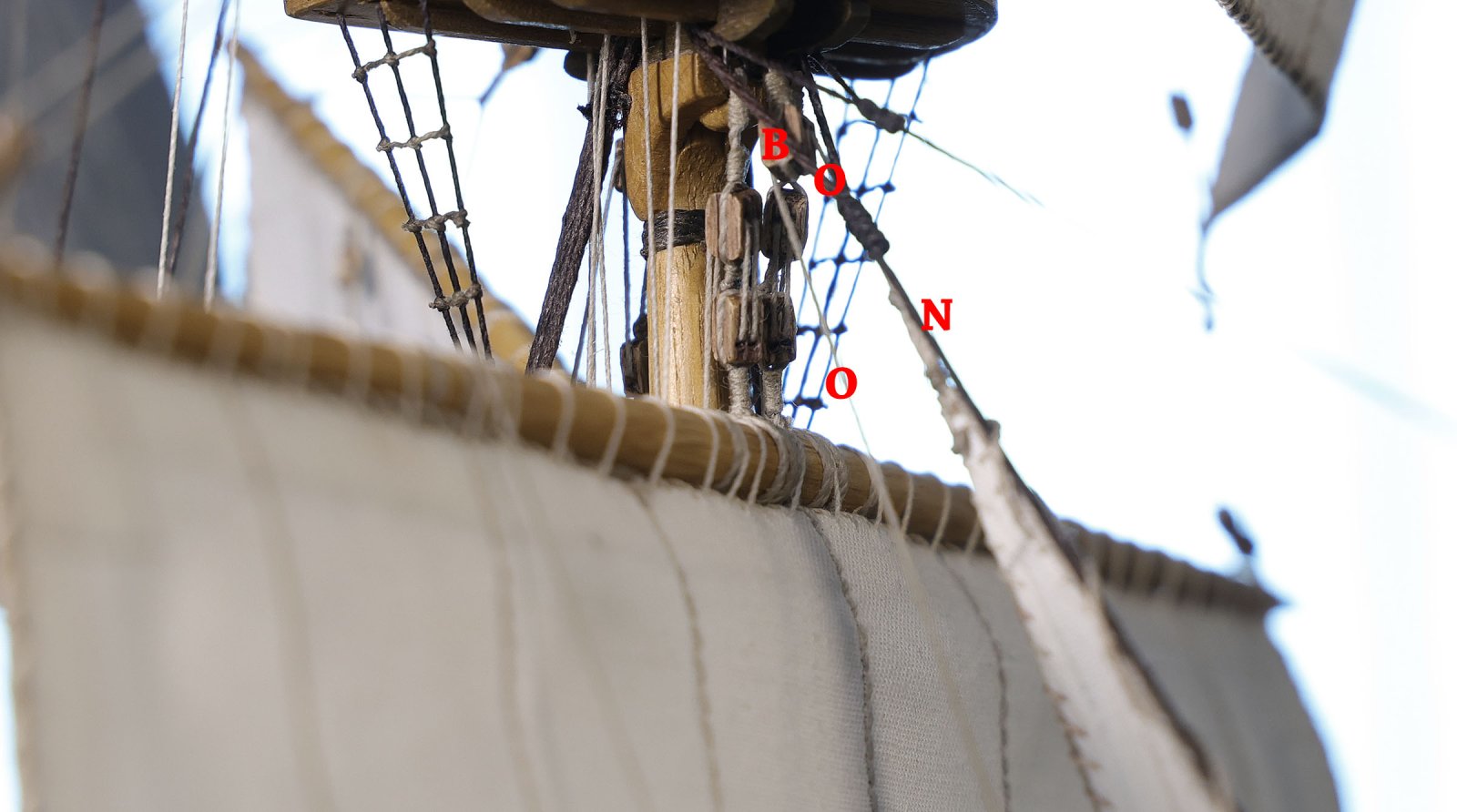 IMGM2275.JPG