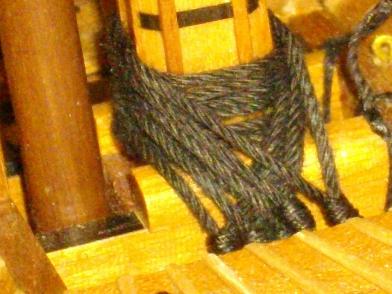 IMGP3891.JPG