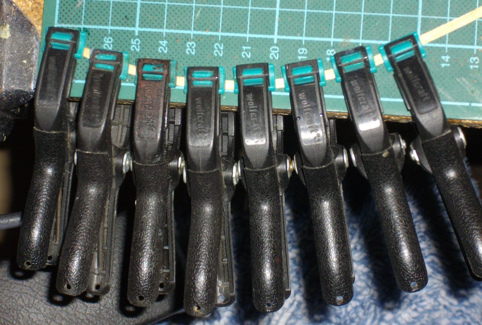 IMGP4404.JPG