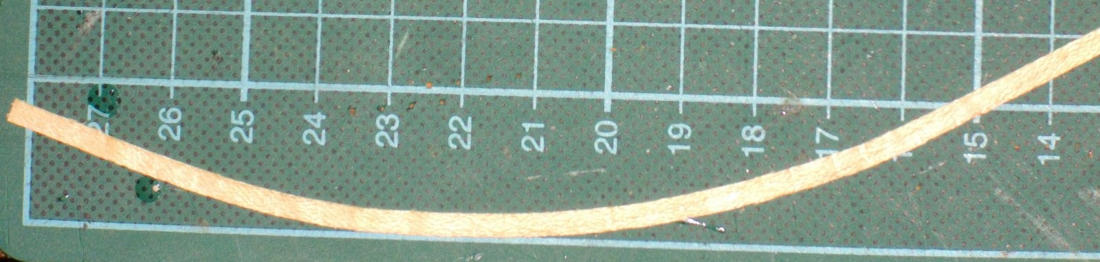 IMGP4405.JPG