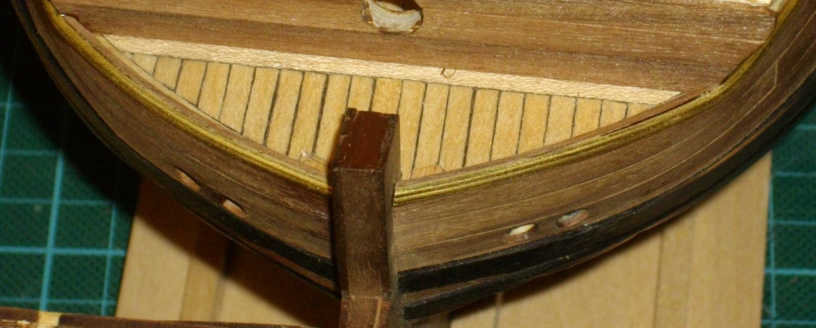 IMGP4496.JPG