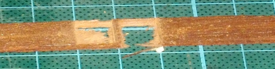 IMGP4600.JPG