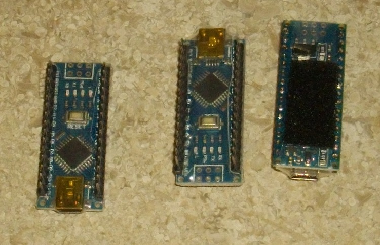 IMGP5655.JPG