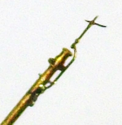 IMGP6324.JPG