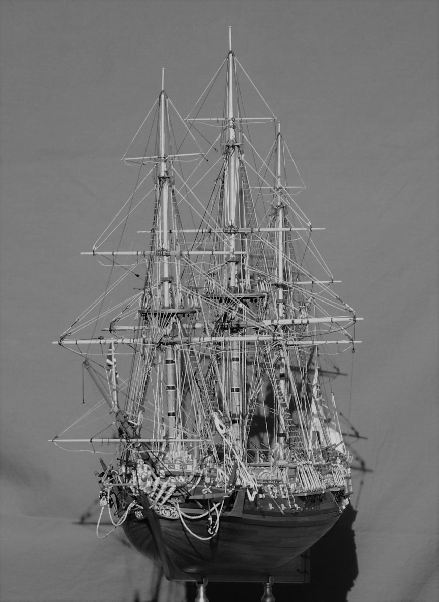 IMGP8494ZW.jpg