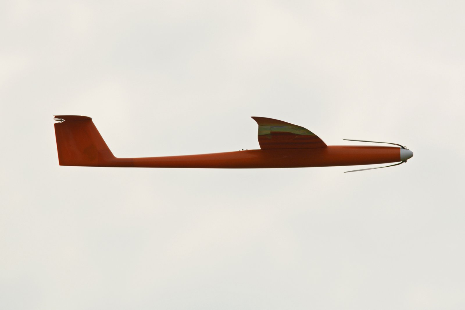 JPZ_2497_resized.jpg
