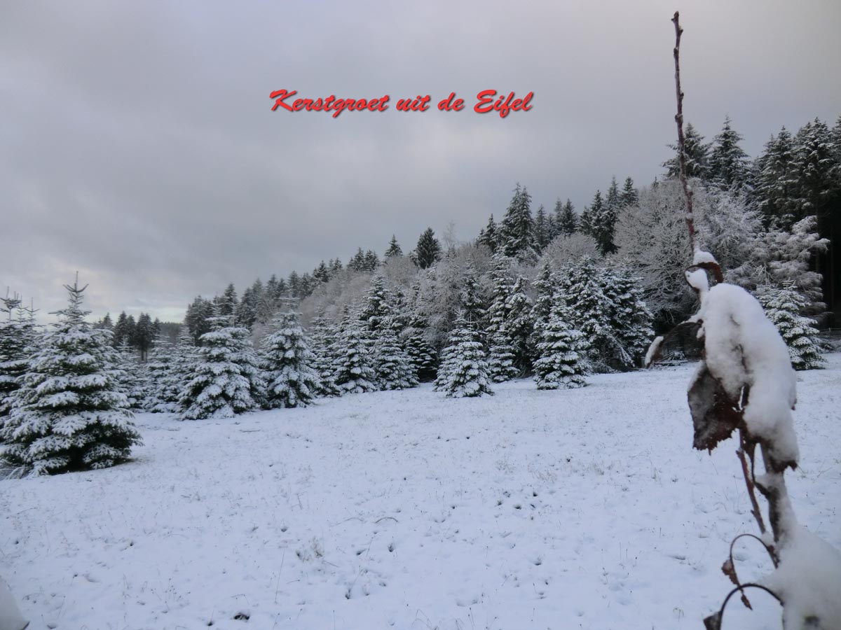 kerst.jpg