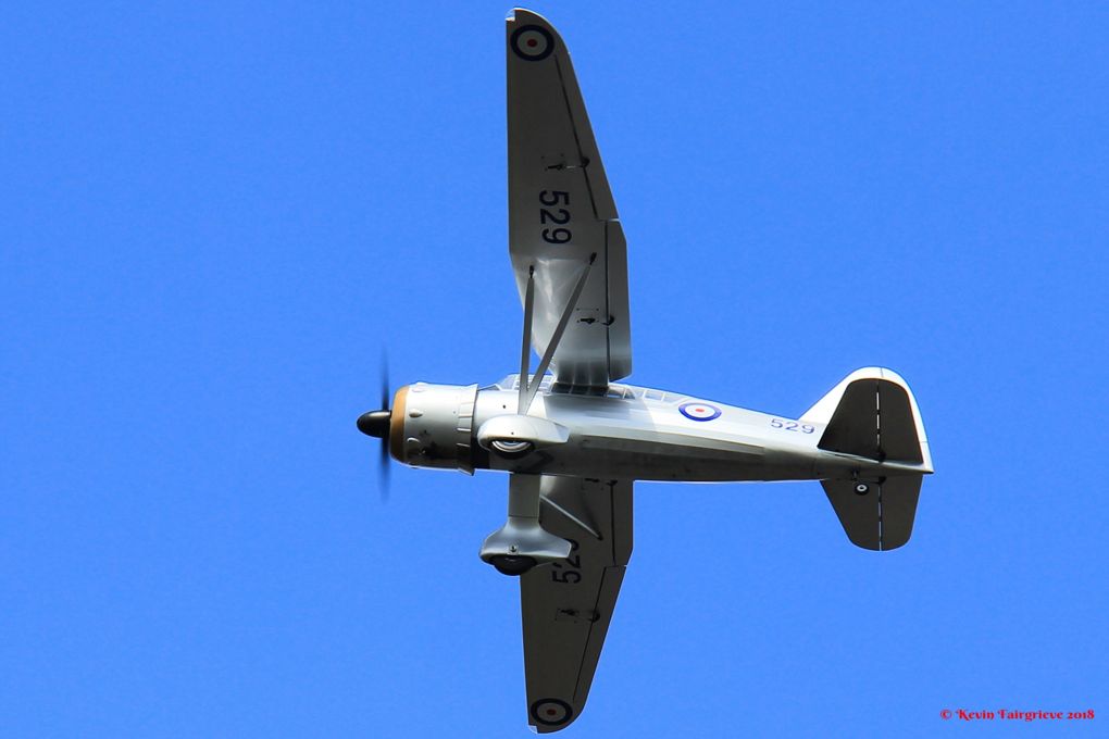 lysanderoverhead1.jpg