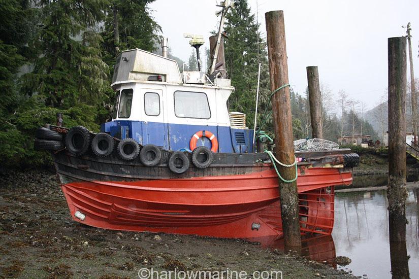 MV539-1.jpg
