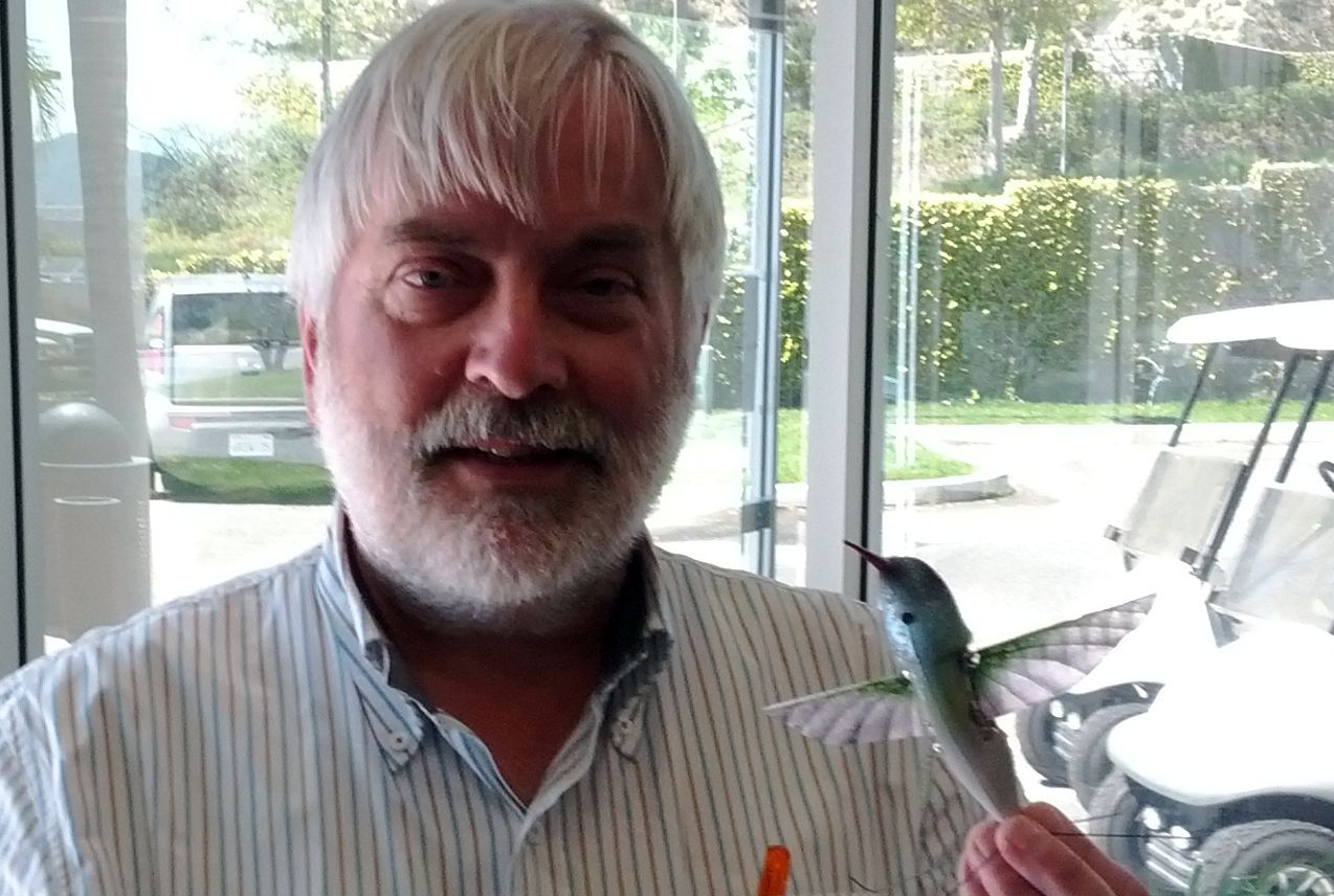 NanoHummingbird.jpg