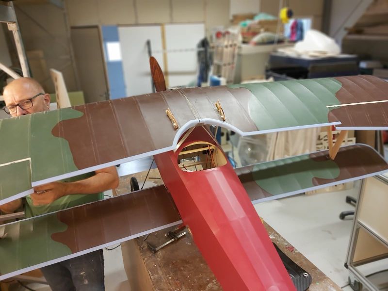 Nieuport 11 top-Ray.jpg