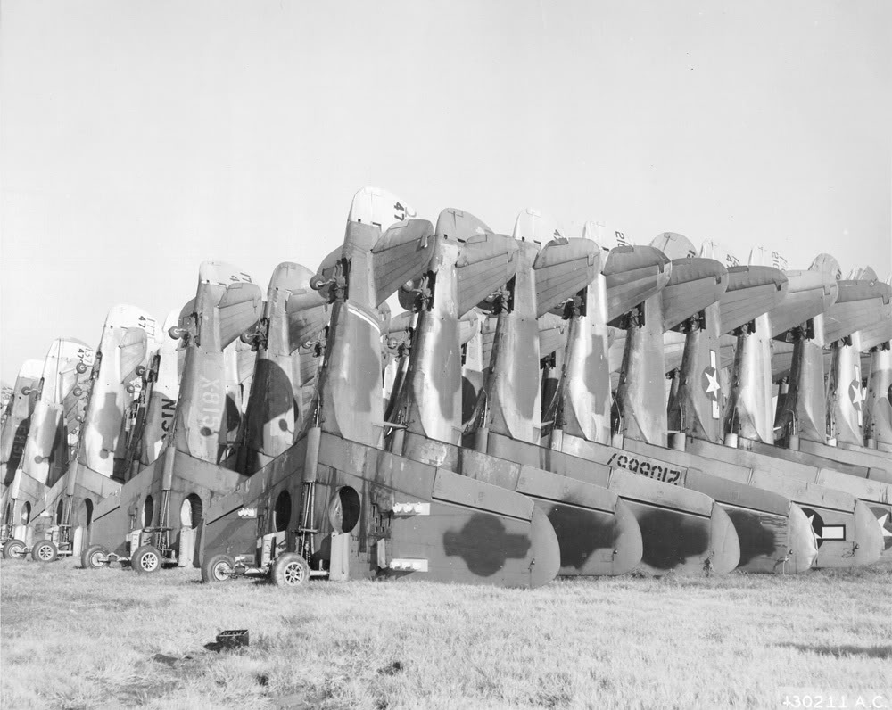 P-40WalnutRidge004a.jpg