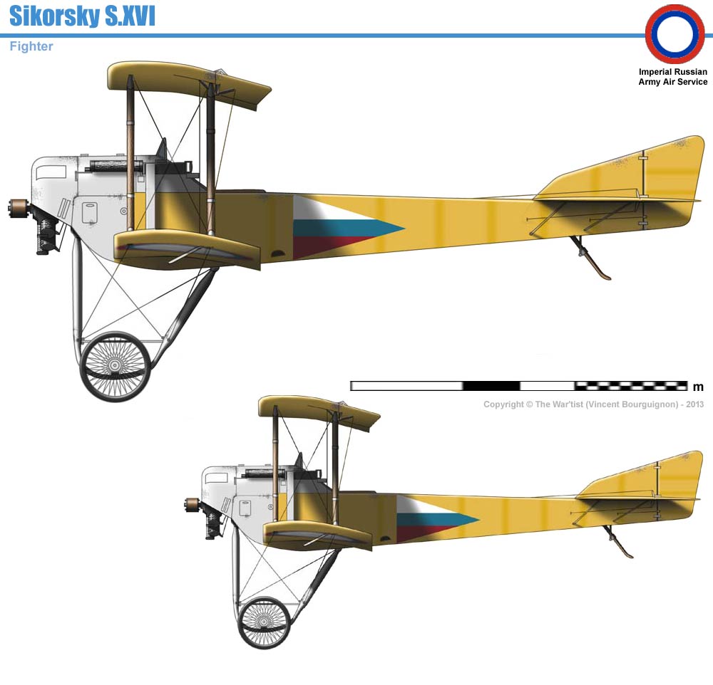 p1.jpg