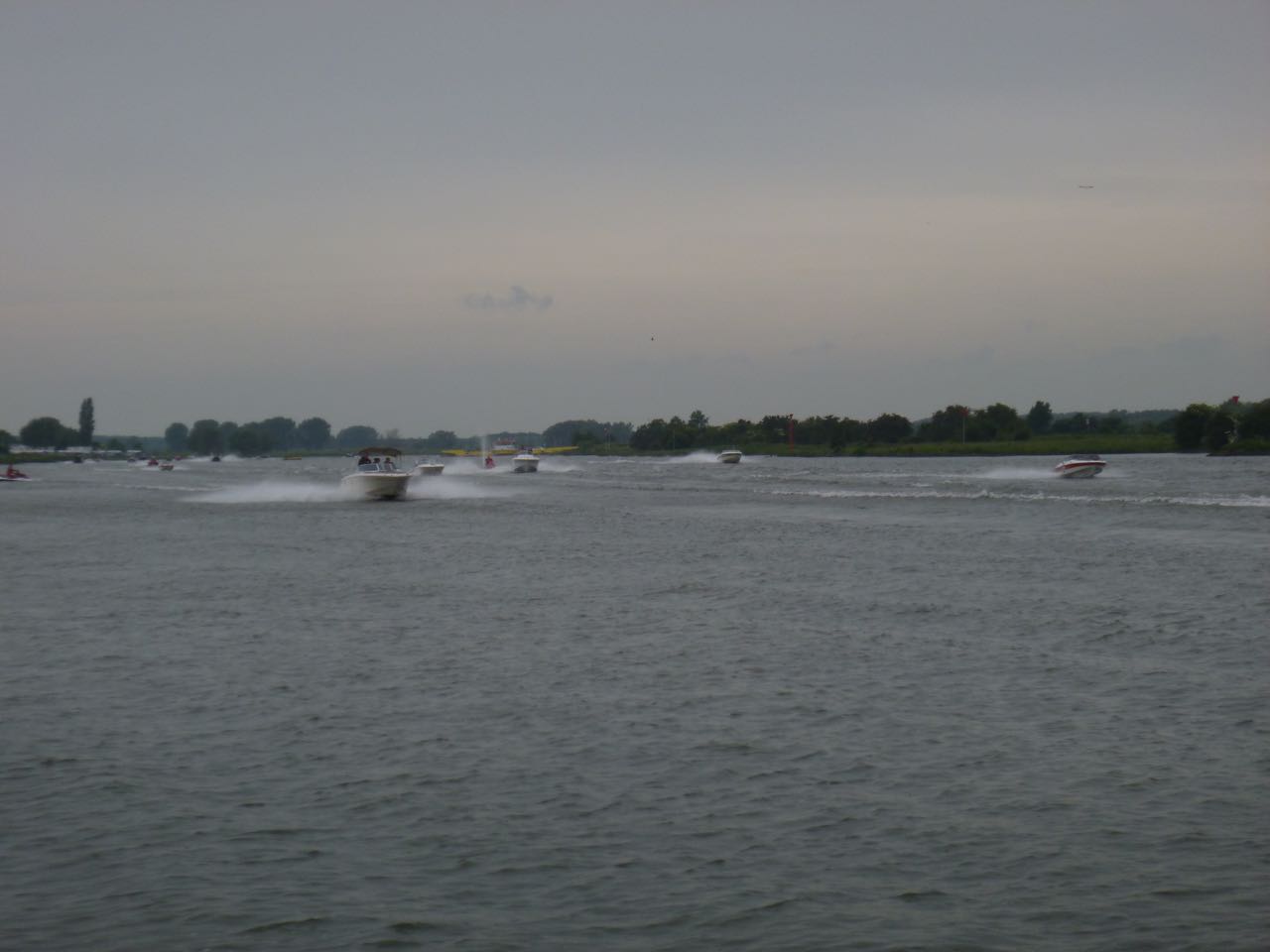 P1000031.jpg