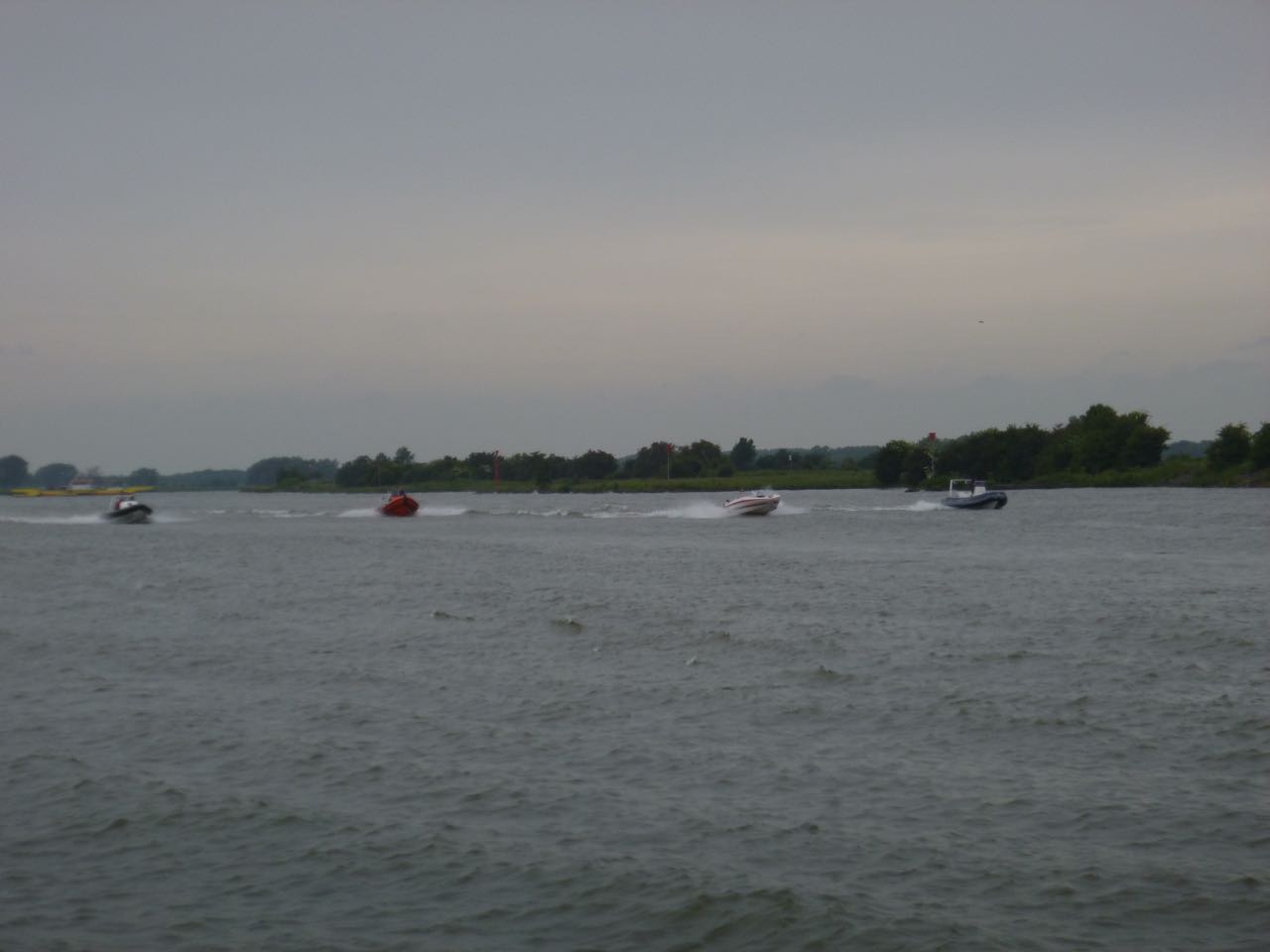 P1000042.jpg