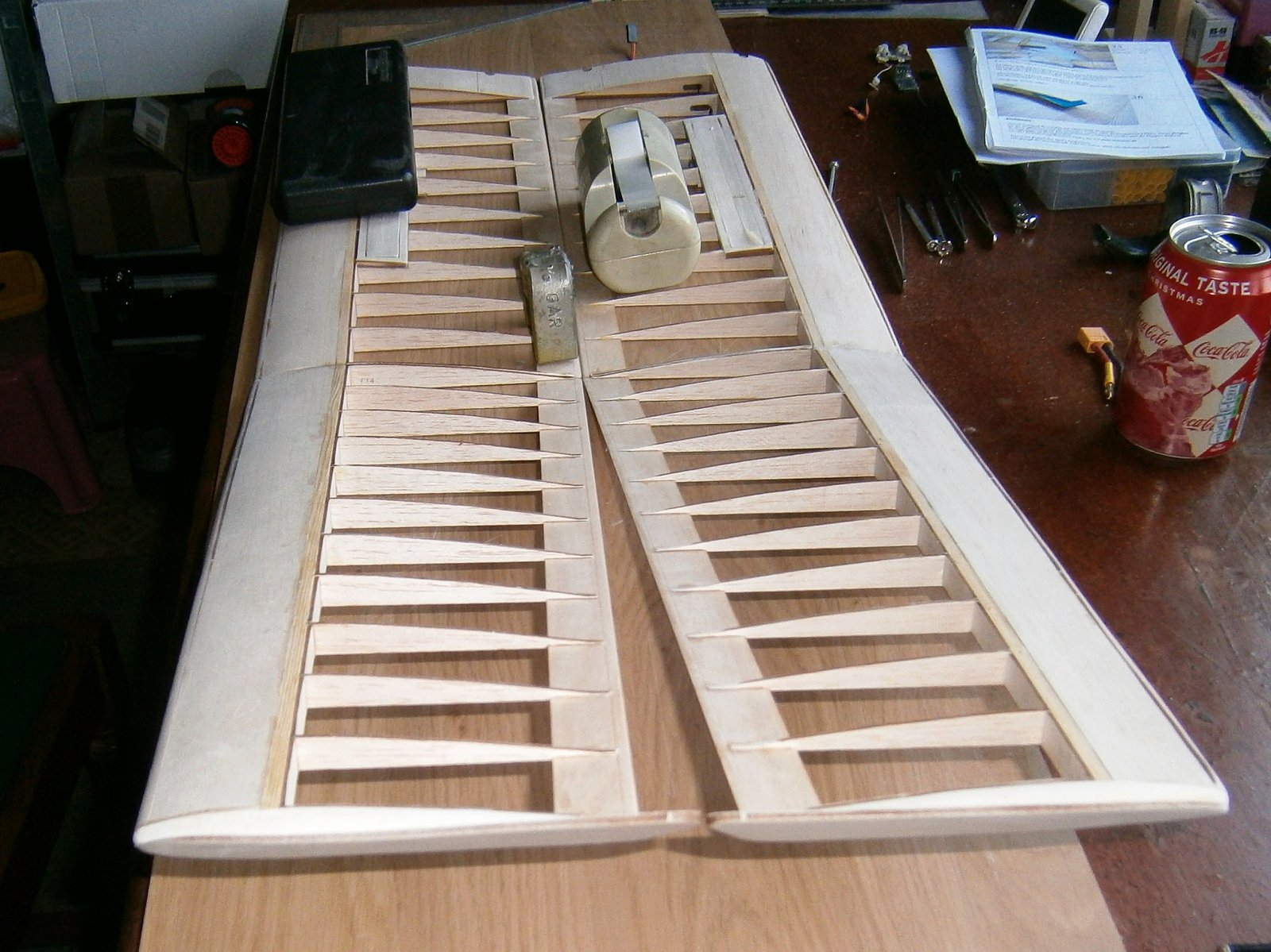 P1110001 (2).JPG