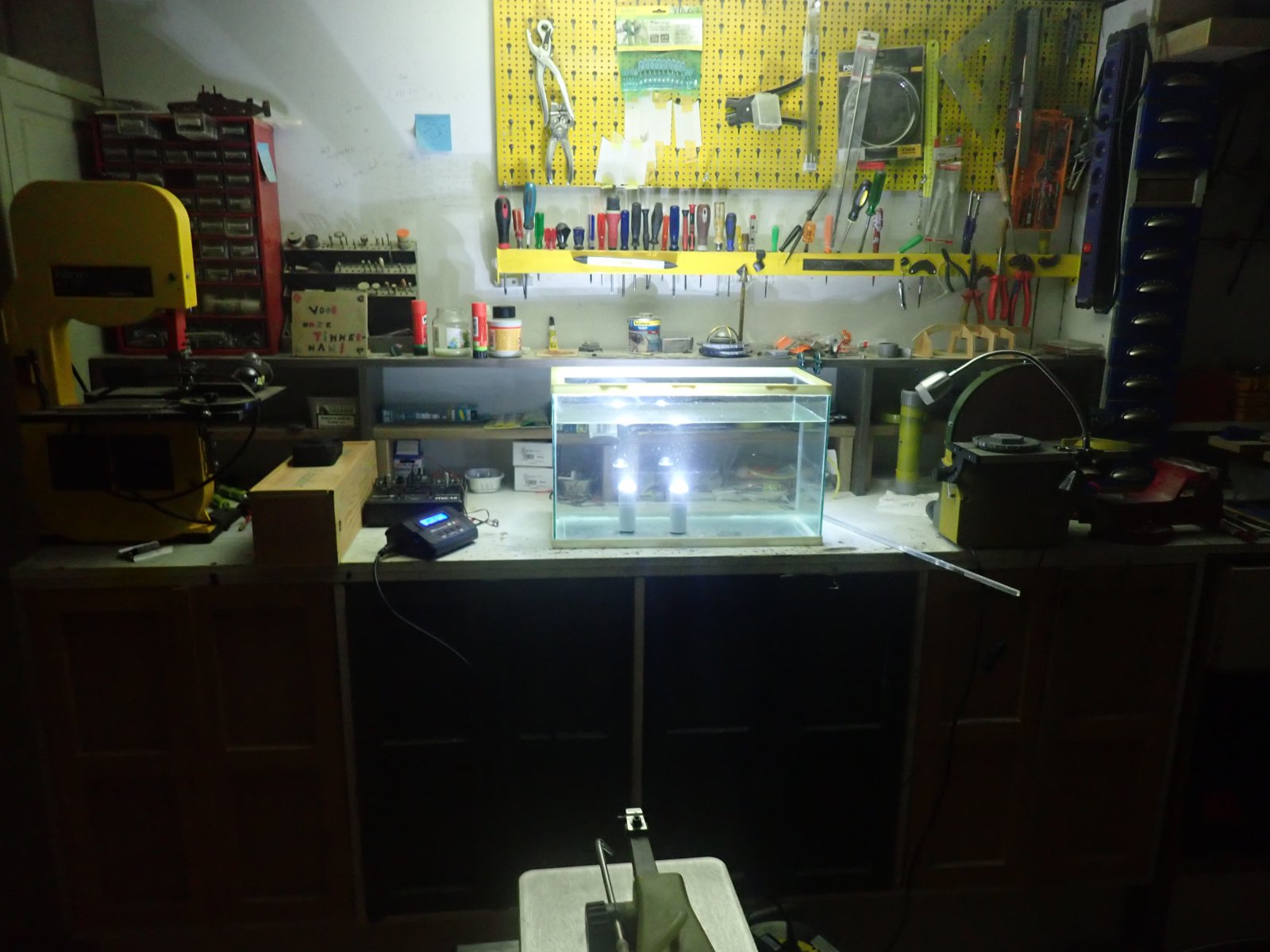 P1192018.JPG