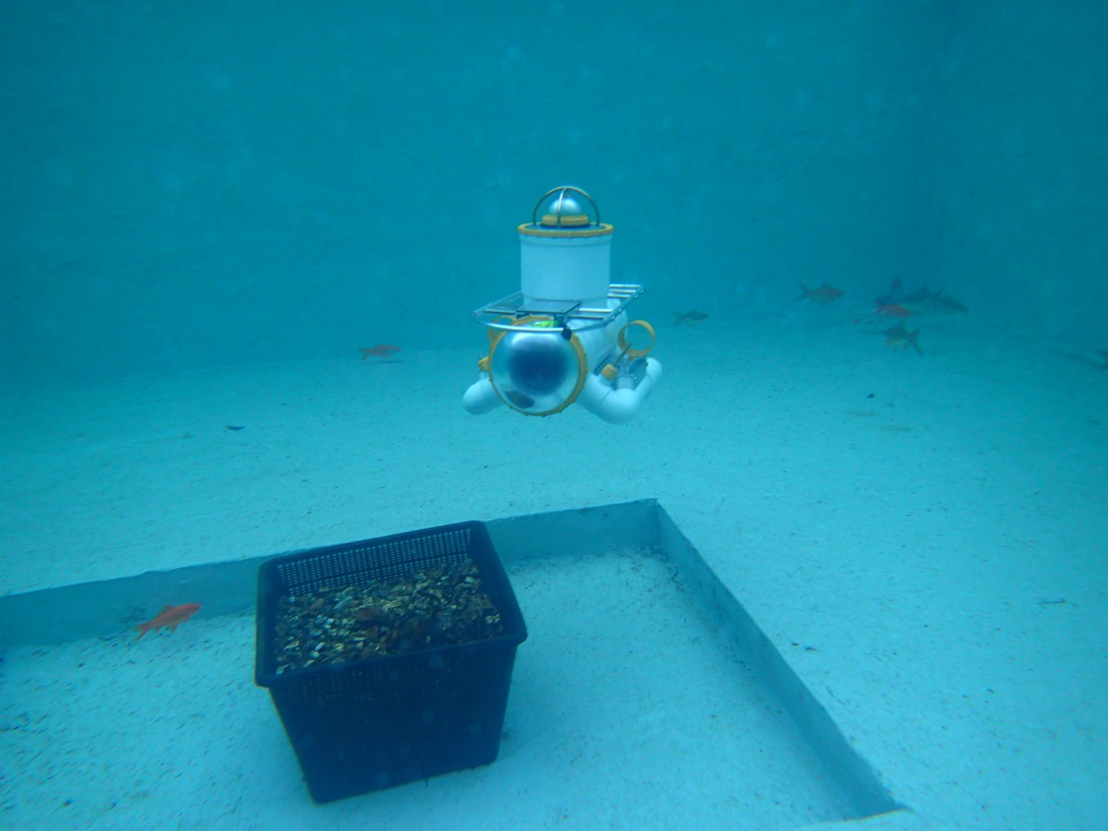 P1260924.JPG