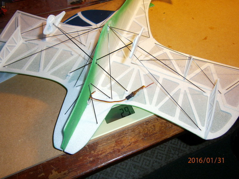 P1310001.JPG