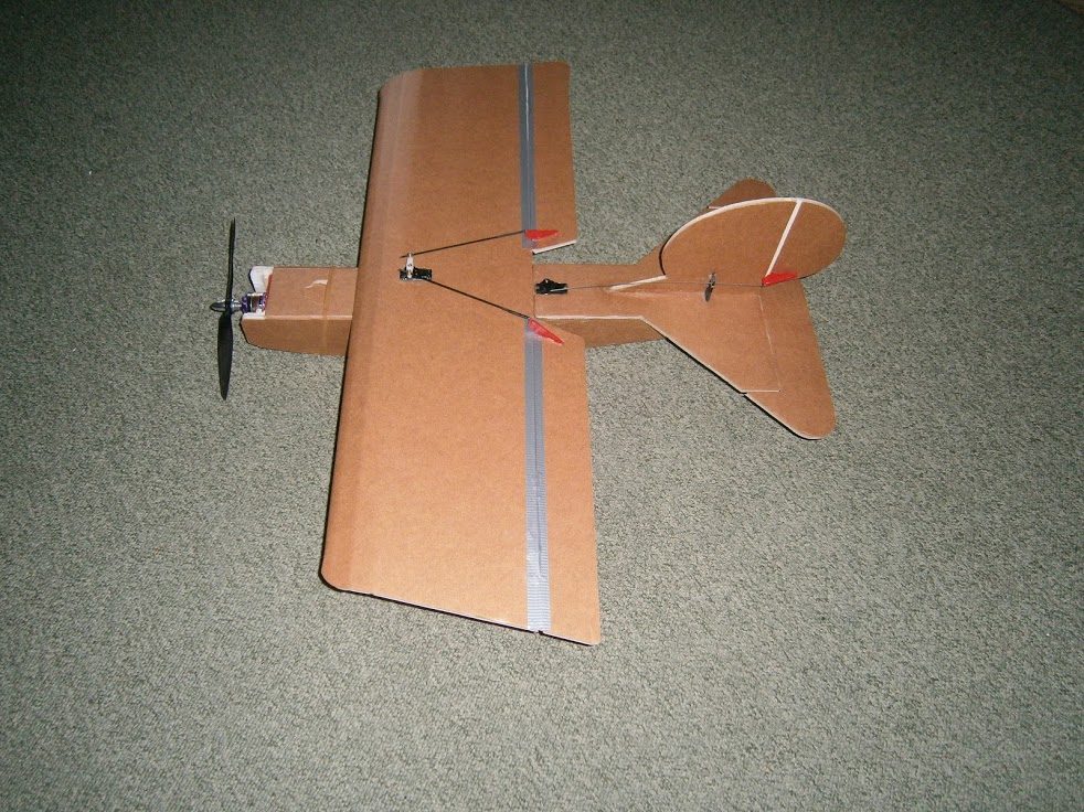 P1310001.JPG