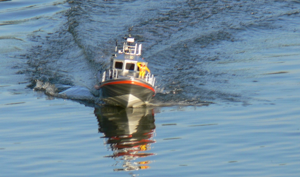 P1450909.JPG