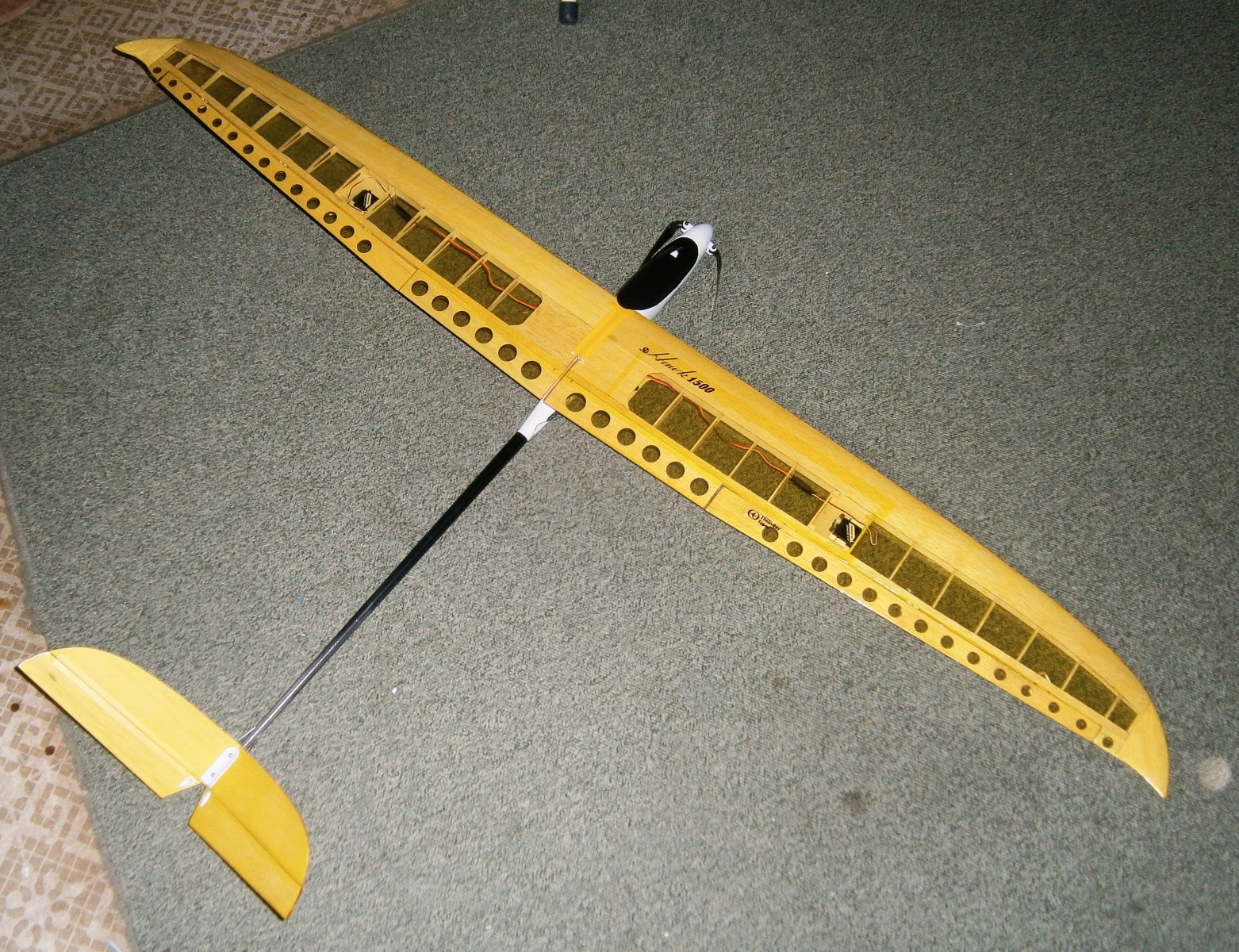 P3040003-001.JPG