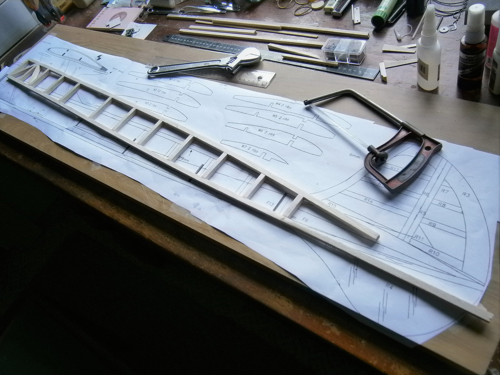 P3200002 (2).JPG