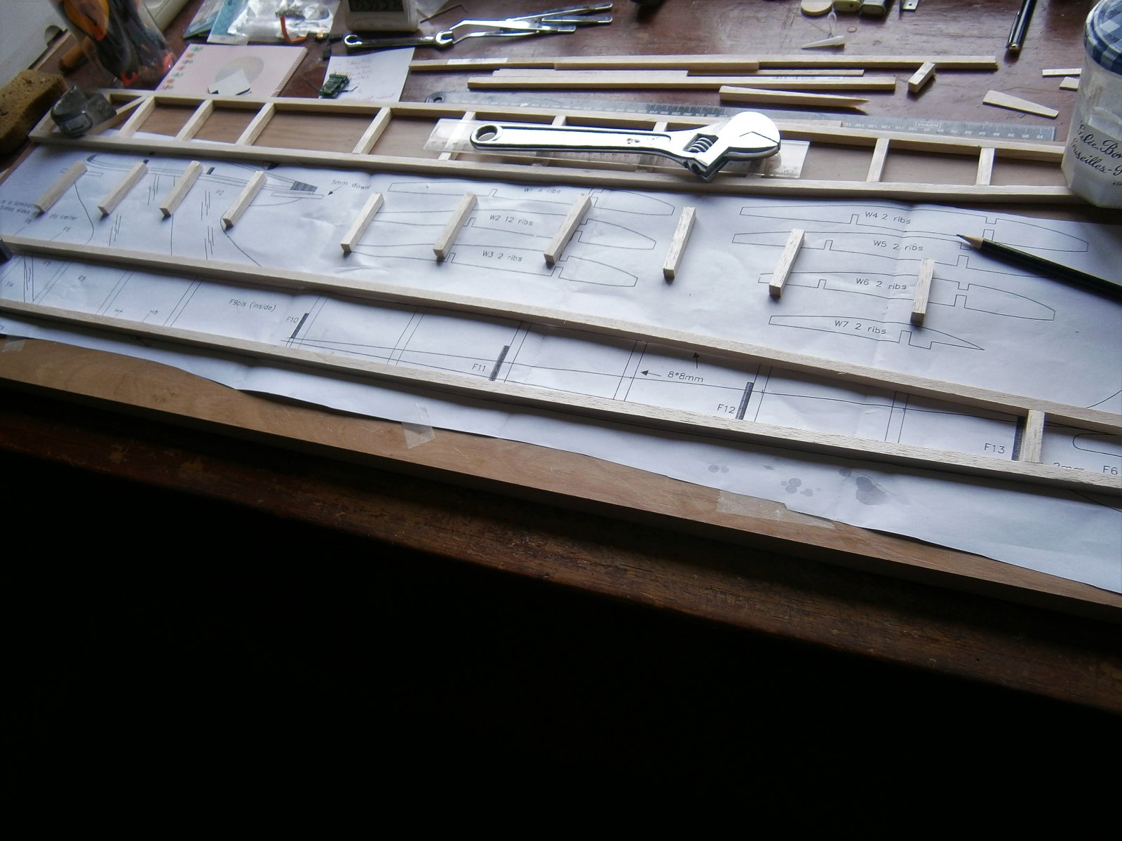 P3200003 (2).JPG
