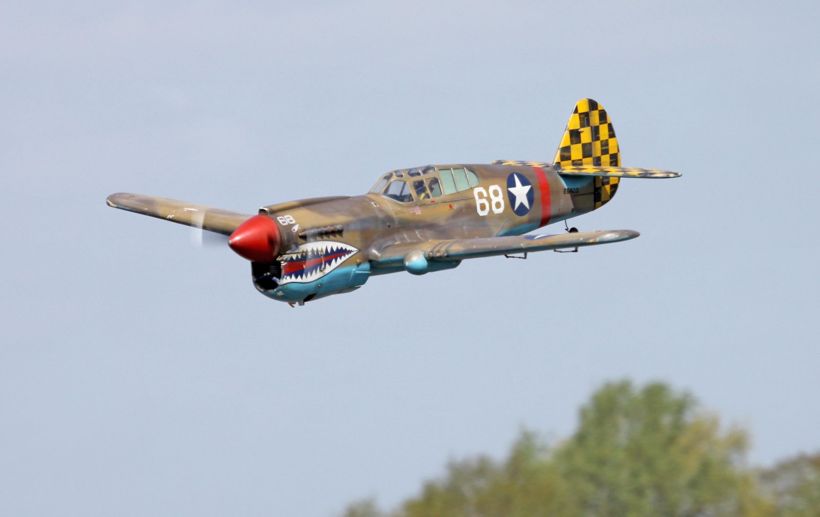 p40.jpg