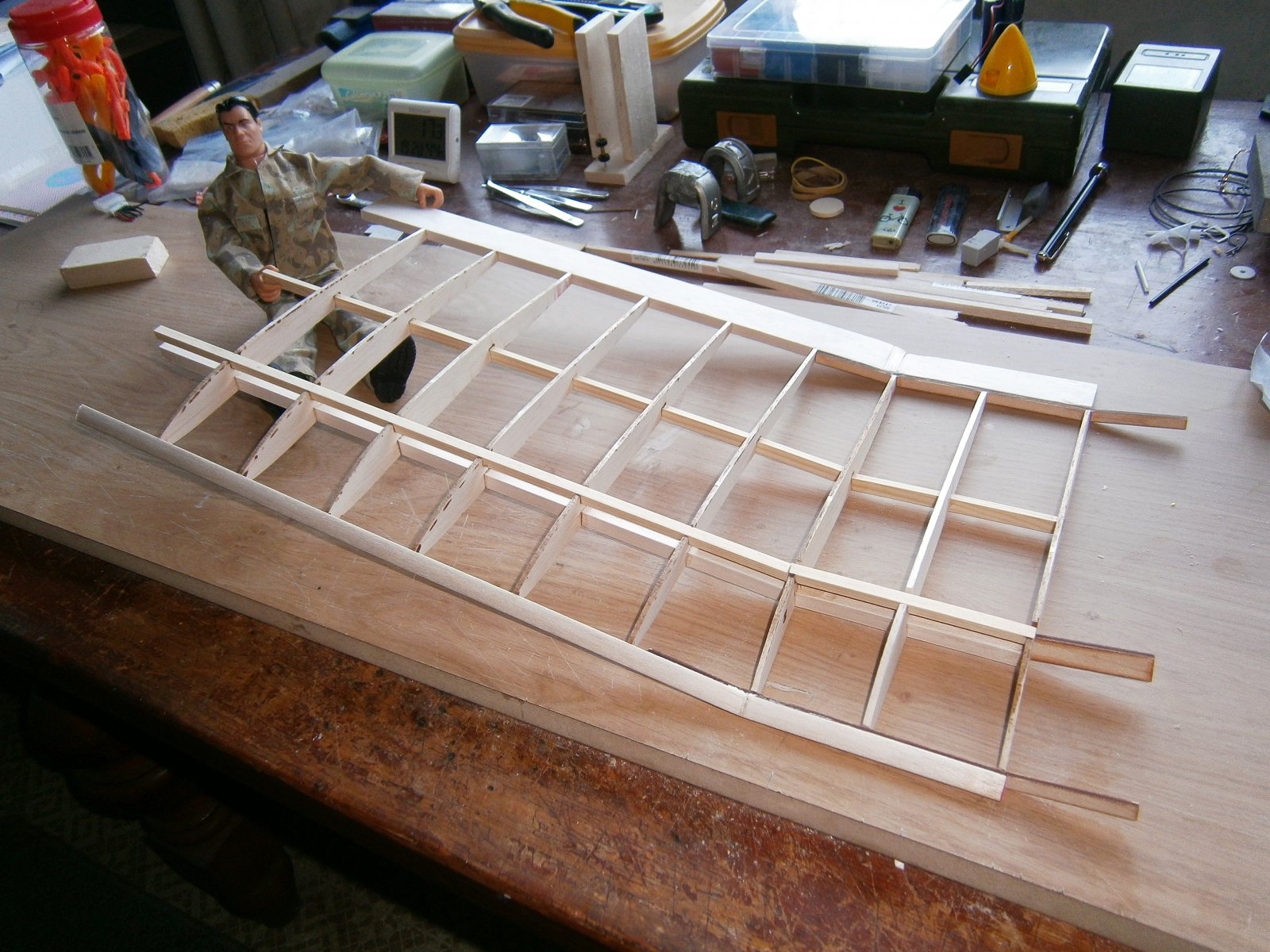 P4110006 (2).JPG