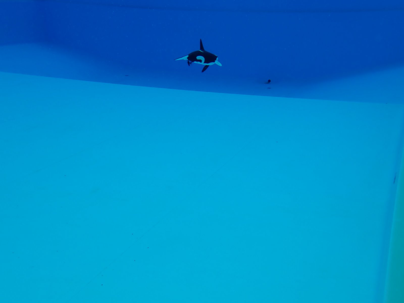 P4280321.JPG